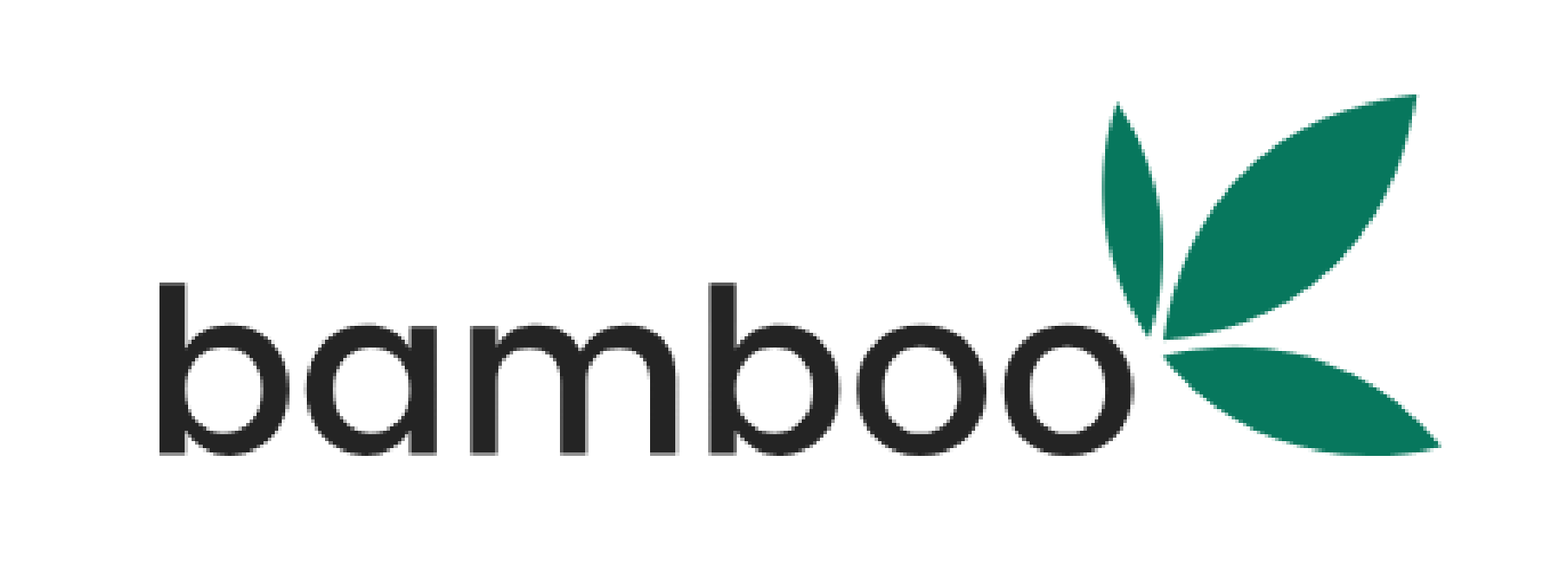 Bamboo